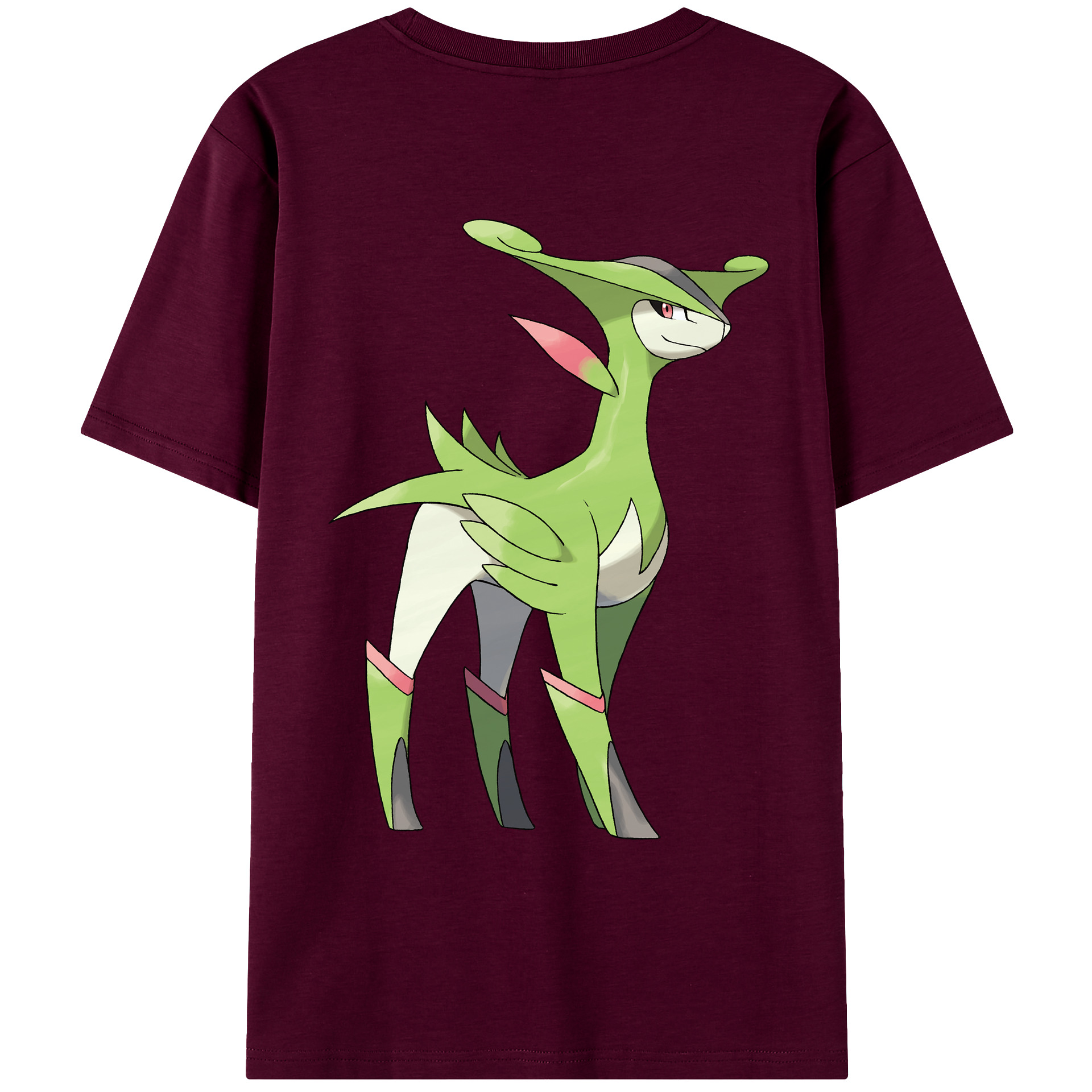 （画像用） ポケットモンスター Pokémon レディース半袖Tシャツ(バックプリント)